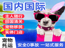 黔南荔波空运国际宠物托运 【国